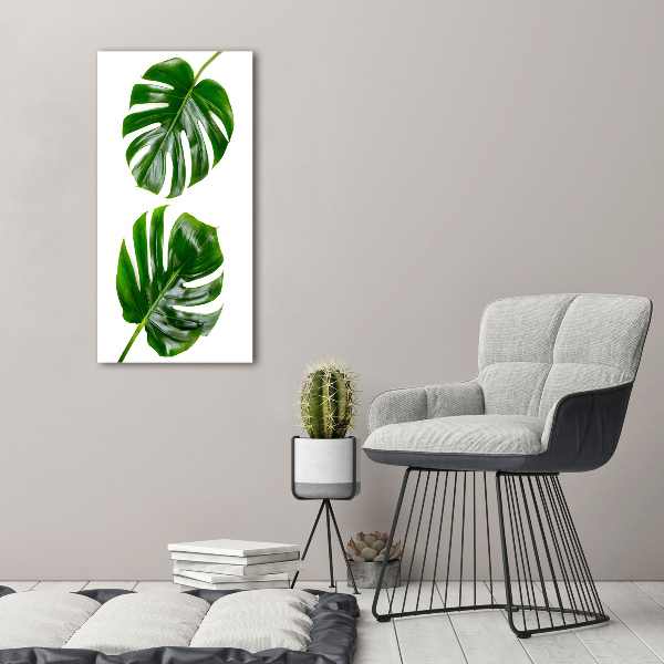 Quadro su tela canvas verticale Monstera