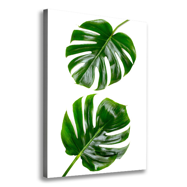 Quadro su tela canvas verticale Monstera