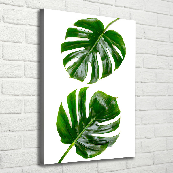 Quadro su tela canvas verticale Monstera