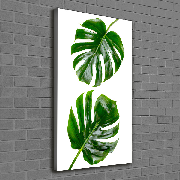 Quadro su tela canvas verticale Monstera