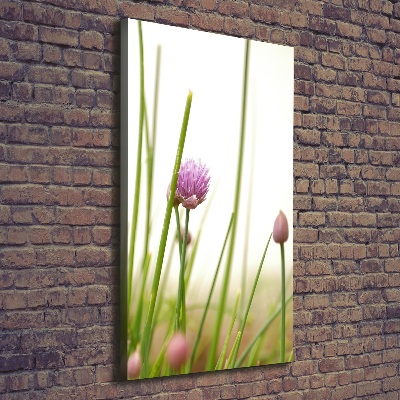 Stampa quadro su tela verticale Fiore di erba cipollina