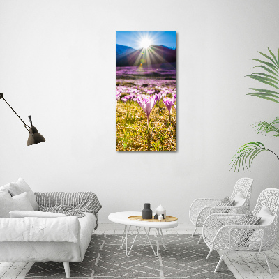 Quadro foto su tela verticale Crochi in montagna