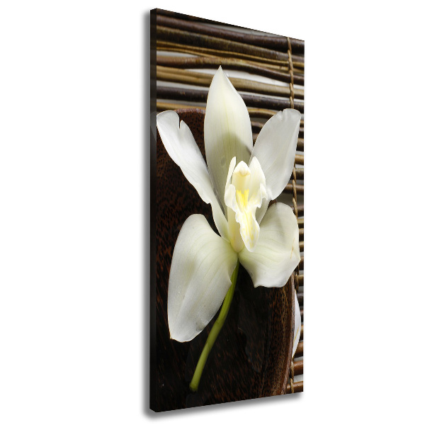 Quadro foto su tela verticale Orchidea