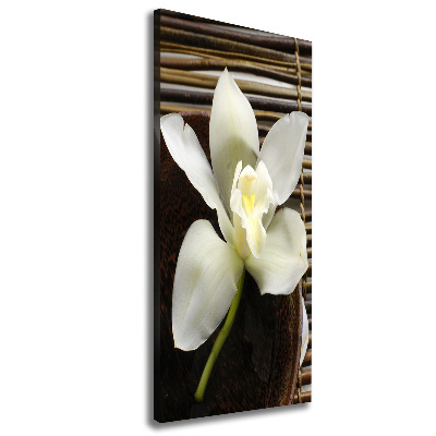 Quadro foto su tela verticale Orchidea