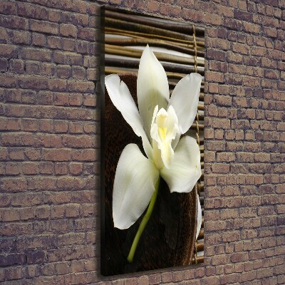 Quadro foto su tela verticale Orchidea
