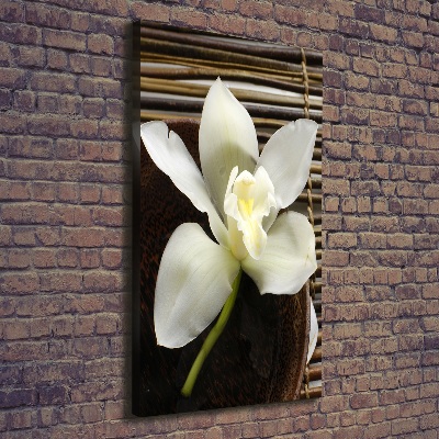 Quadro foto su tela verticale Orchidea