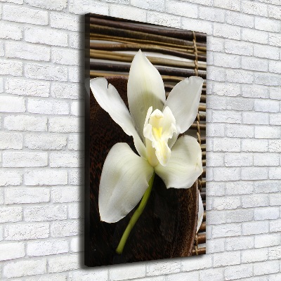 Quadro foto su tela verticale Orchidea
