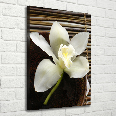 Quadro foto su tela verticale Orchidea