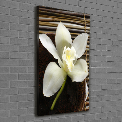 Quadro foto su tela verticale Orchidea