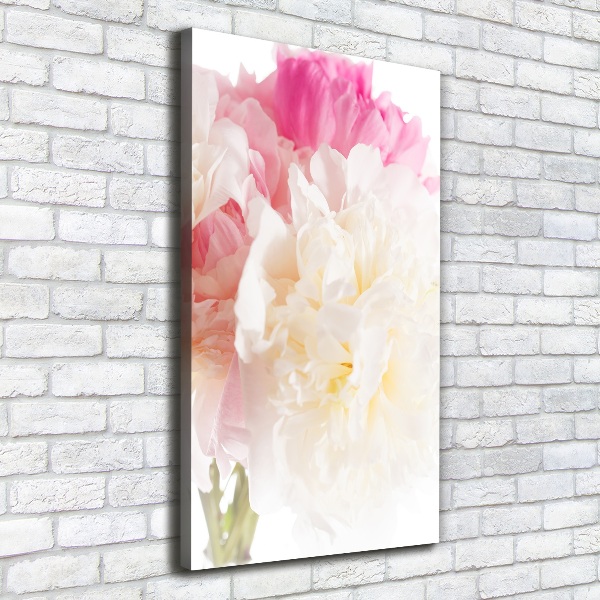 Quadro su tela canvas verticale Peonia