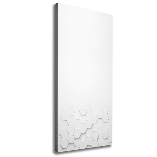 Quadro su tela canvas verticale Sfondo esagonale