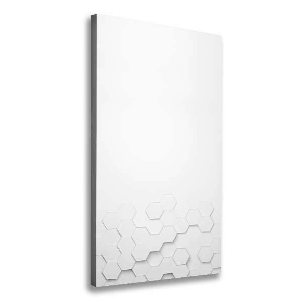 Quadro su tela canvas verticale Sfondo esagonale