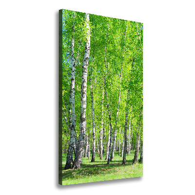 Quadro foto su tela verticale Foresta di betulle