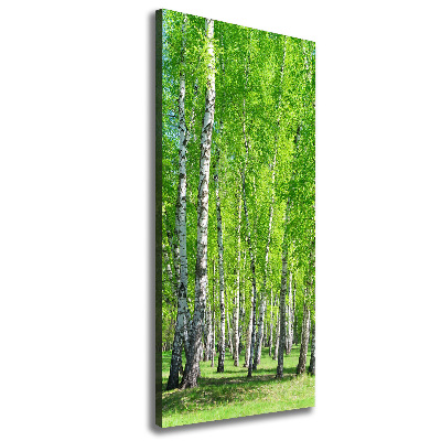Quadro foto su tela verticale Foresta di betulle