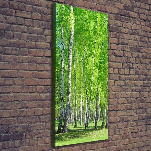 Quadro foto su tela verticale Foresta di betulle