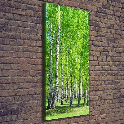 Quadro foto su tela verticale Foresta di betulle