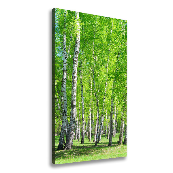 Quadro foto su tela verticale Foresta di betulle