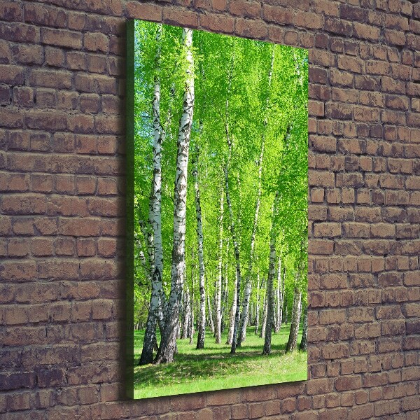 Quadro foto su tela verticale Foresta di betulle