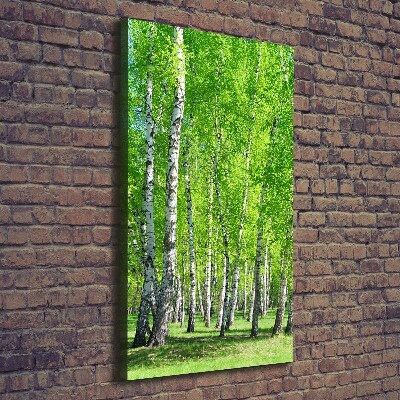 Quadro foto su tela verticale Foresta di betulle