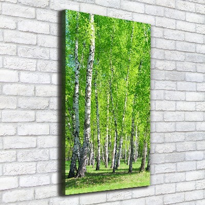 Quadro foto su tela verticale Foresta di betulle