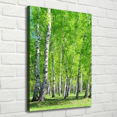 Quadro foto su tela verticale Foresta di betulle