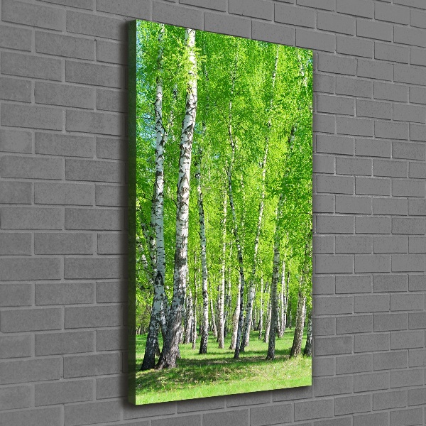Quadro foto su tela verticale Foresta di betulle