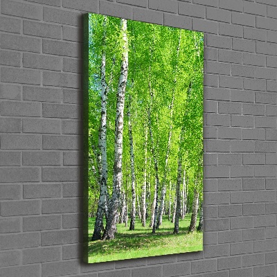 Quadro foto su tela verticale Foresta di betulle