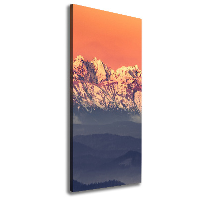 Stampa quadro su tela verticale Panorama dei Monti Tatra
