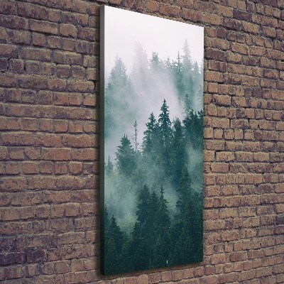 Quadro foto su tela verticale Nebbia sulla foresta