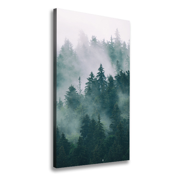 Quadro foto su tela verticale Nebbia sulla foresta