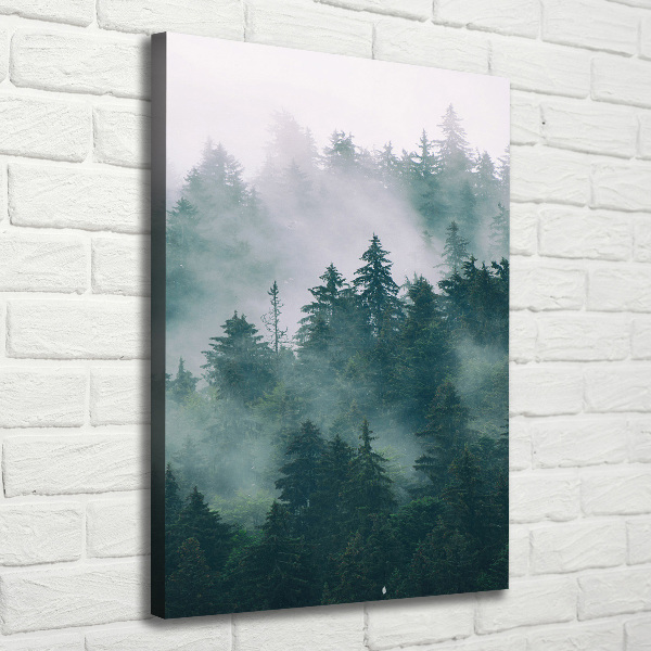 Quadro foto su tela verticale Nebbia sulla foresta