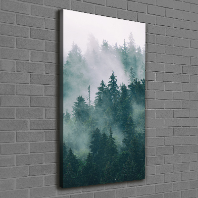 Quadro foto su tela verticale Nebbia sulla foresta