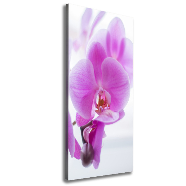 Quadro foto su tela verticale Orchidea rosa