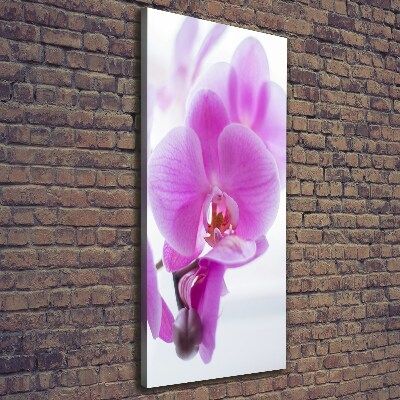 Quadro foto su tela verticale Orchidea rosa