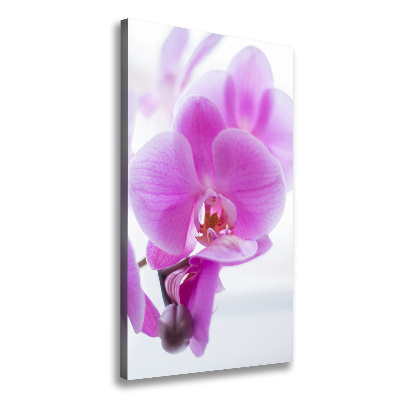 Quadro foto su tela verticale Orchidea rosa