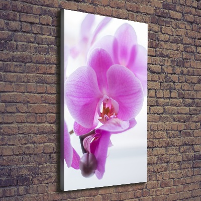 Quadro foto su tela verticale Orchidea rosa