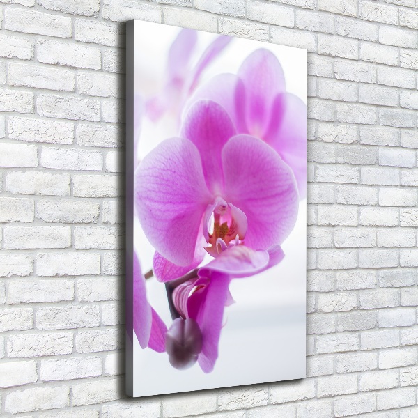 Quadro foto su tela verticale Orchidea rosa