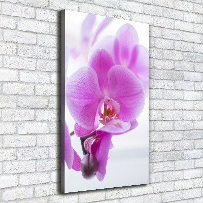Quadro foto su tela verticale Orchidea rosa