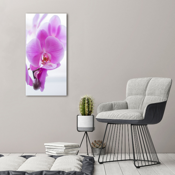 Quadro foto su tela verticale Orchidea rosa