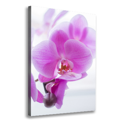 Quadro foto su tela verticale Orchidea rosa