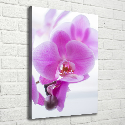 Quadro foto su tela verticale Orchidea rosa