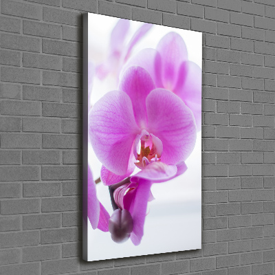 Quadro foto su tela verticale Orchidea rosa