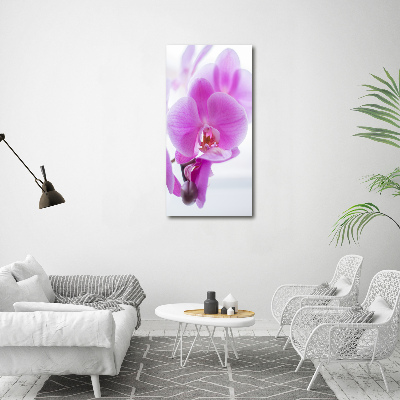 Quadro foto su tela verticale Orchidea rosa
