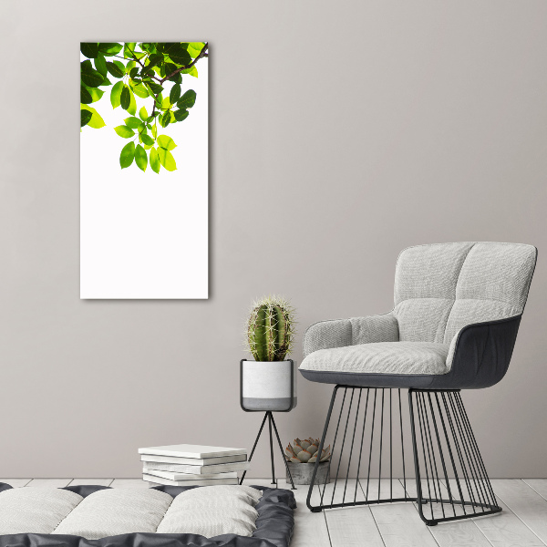 Quadro su tela canvas verticale Foglie verdi