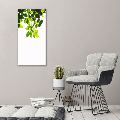 Quadro su tela canvas verticale Foglie verdi