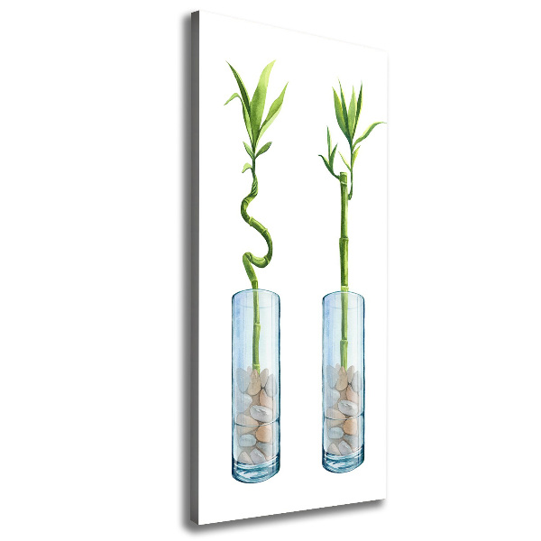 Stampa quadro su tela verticale Bambù in vaso