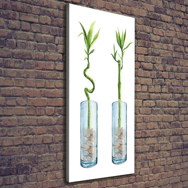 Stampa quadro su tela verticale Bambù in vaso