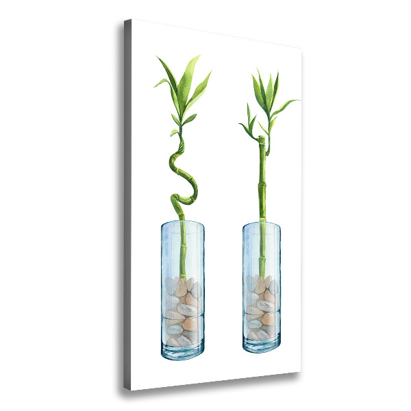 Stampa quadro su tela verticale Bambù in vaso