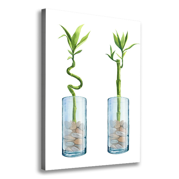 Stampa quadro su tela verticale Bambù in vaso