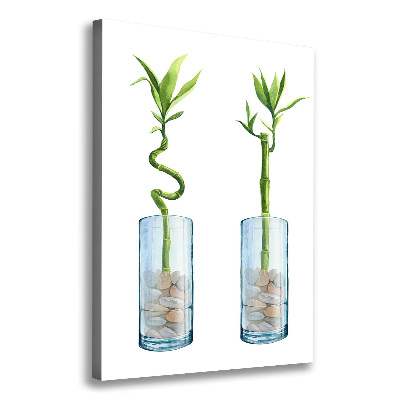 Stampa quadro su tela verticale Bambù in vaso